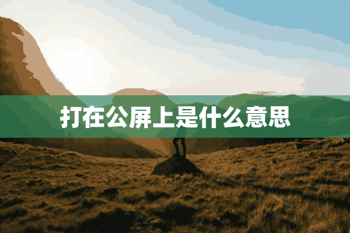 打在公屏上是什么意思